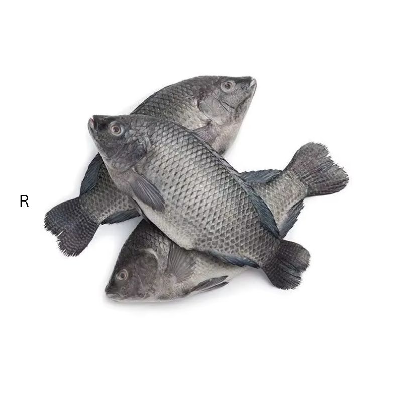 ASK AFRO TILAPIA